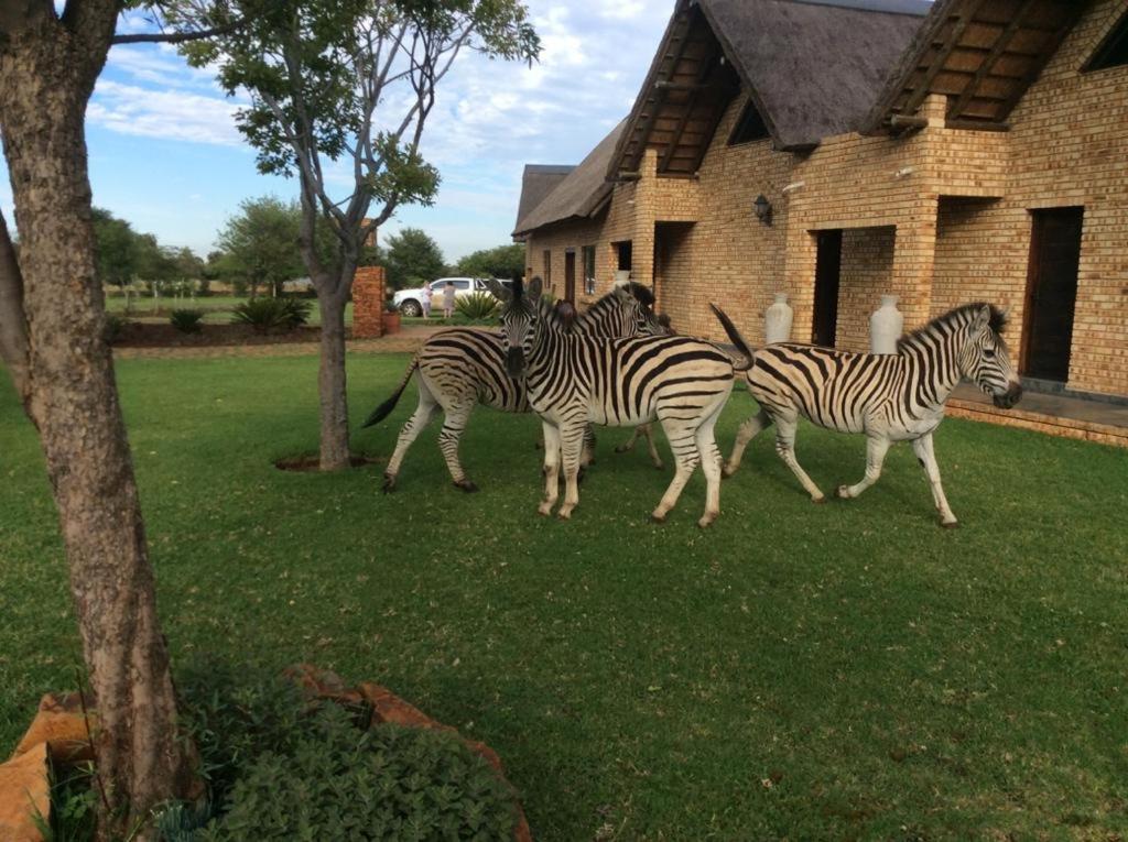 The Vaal Guesthouse Oranjeville Экстерьер фото